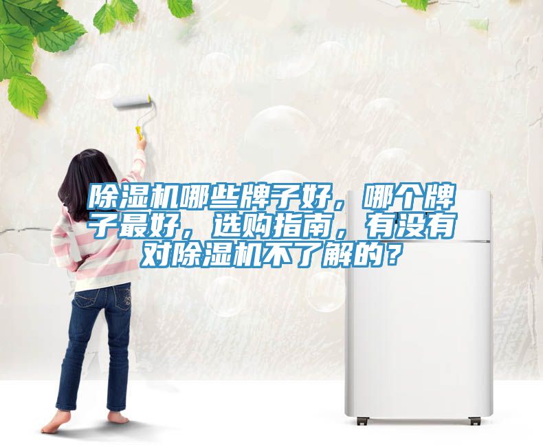 除濕機(jī)哪些牌子好，哪個牌子最好，選購指南，有沒有對除濕機(jī)不了解的？