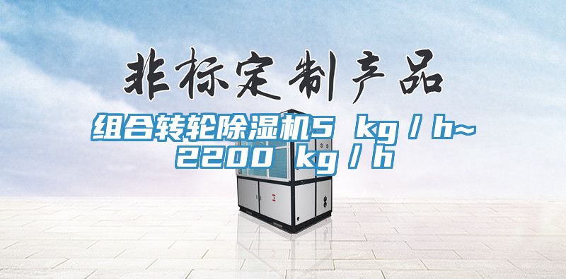 組合轉(zhuǎn)輪除濕機(jī)5 kg／h~2200 kg／h