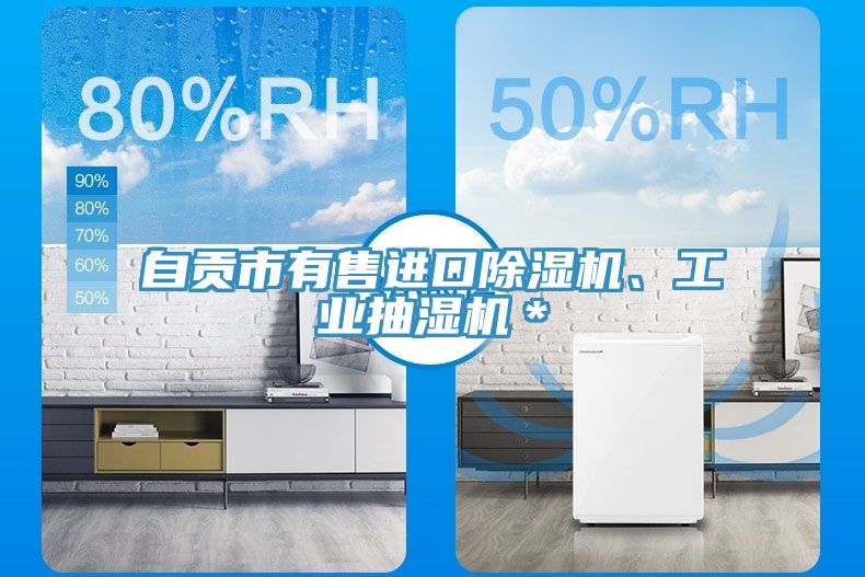 自貢市有售進(jìn)口除濕機(jī)、工業(yè)抽濕機(jī)＊