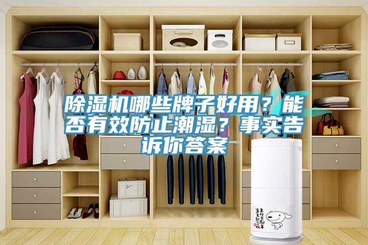 除濕機(jī)哪些牌子好用？能否有效防止潮濕？事實告訴你答案