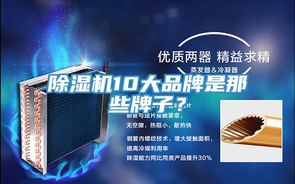 除濕機(jī)10大品牌是那些牌子？