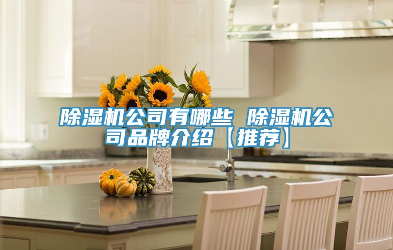 除濕機(jī)公司有哪些 除濕機(jī)公司品牌介紹【推薦】