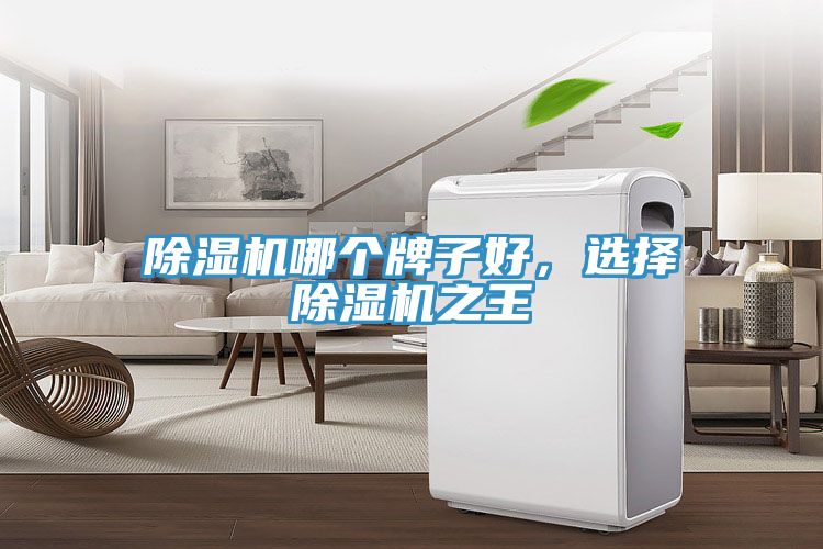 除濕機(jī)哪個(gè)牌子好，選擇除濕機(jī)之王