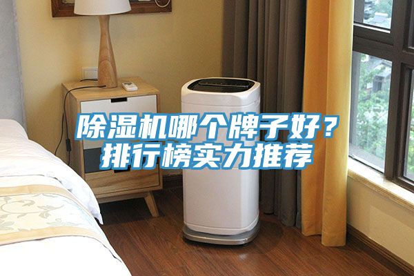 除濕機(jī)哪個(gè)牌子好？排行榜實(shí)力推薦