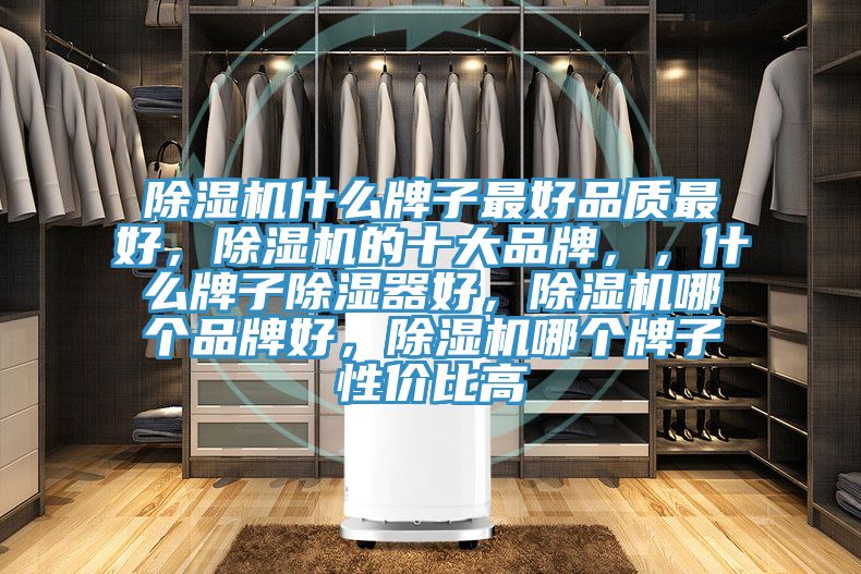 除濕機什么牌子最好品質最好，除濕機的十大品牌，，什么牌子除濕器好，除濕機哪個品牌好，除濕機哪個牌子性價比高