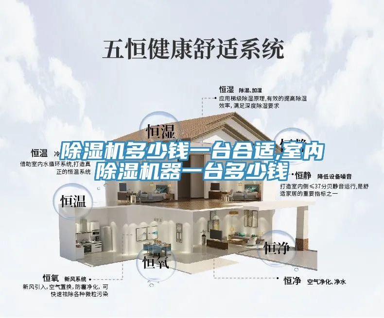 除濕機(jī)多少錢(qián)一臺(tái)合適,室內(nèi)除濕機(jī)器一臺(tái)多少錢(qián)
