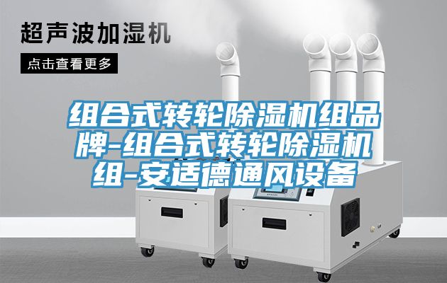 組合式轉(zhuǎn)輪除濕機(jī)組品牌-組合式轉(zhuǎn)輪除濕機(jī)組-安適德通風(fēng)設(shè)備