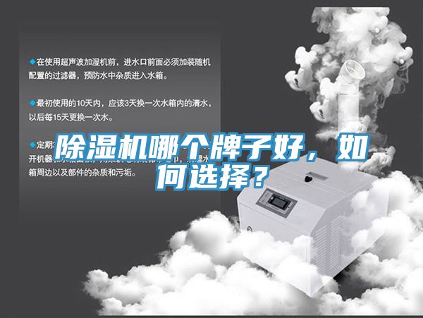 除濕機(jī)哪個(gè)牌子好，如何選擇？