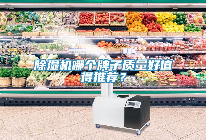 除濕機(jī)哪個牌子質(zhì)量好值得推薦？