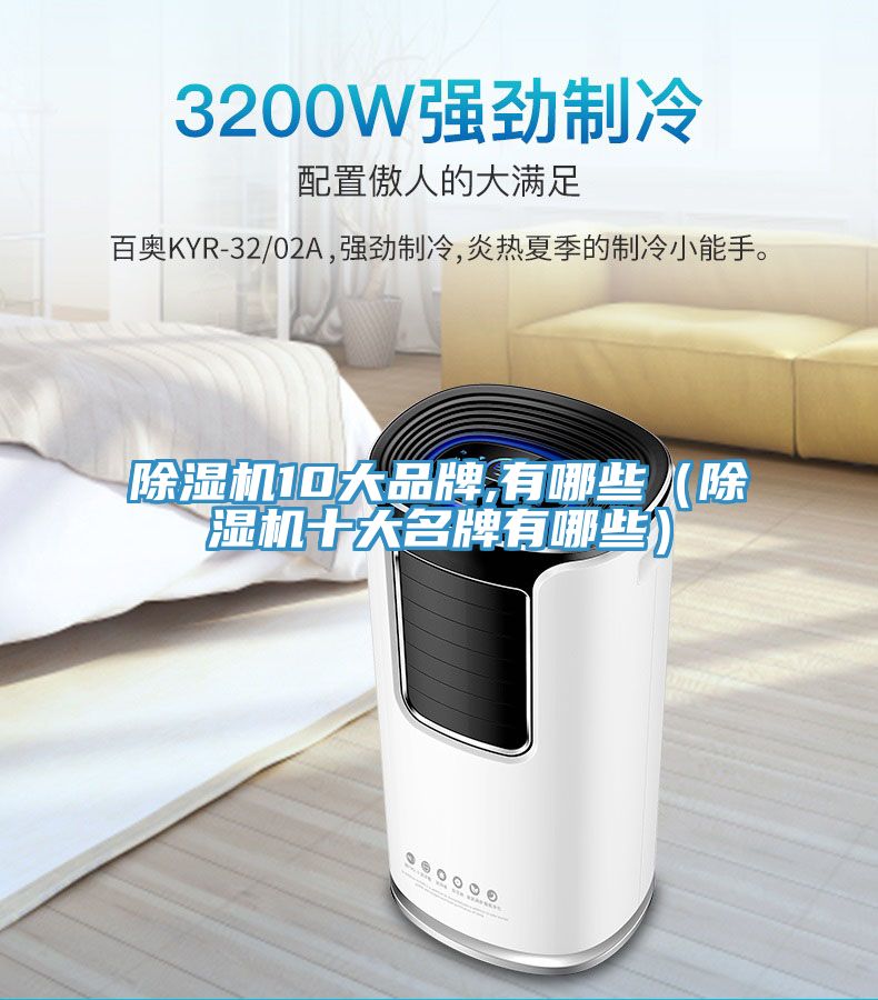 除濕機(jī)10大品牌,有哪些（除濕機(jī)十大名牌有哪些）