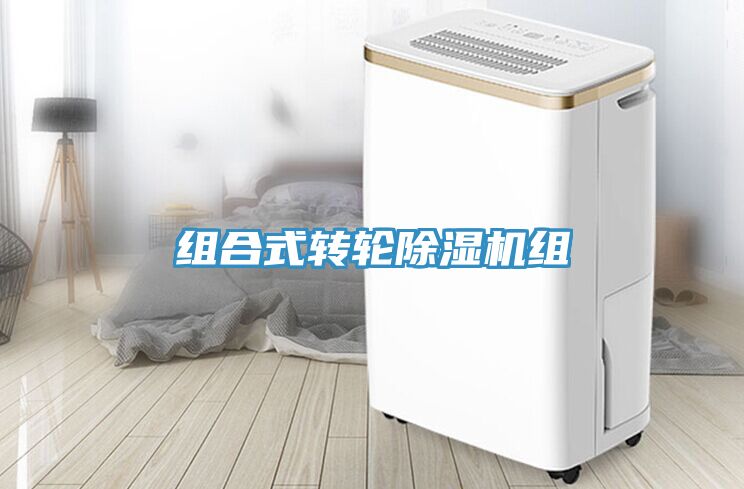 組合式轉(zhuǎn)輪除濕機(jī)組