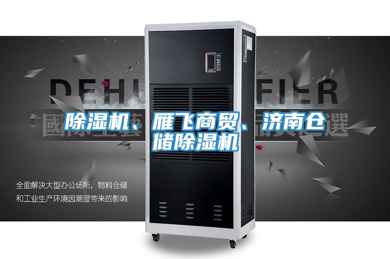 除濕機(jī)、雁飛商貿(mào)、濟(jì)南倉儲除濕機(jī)
