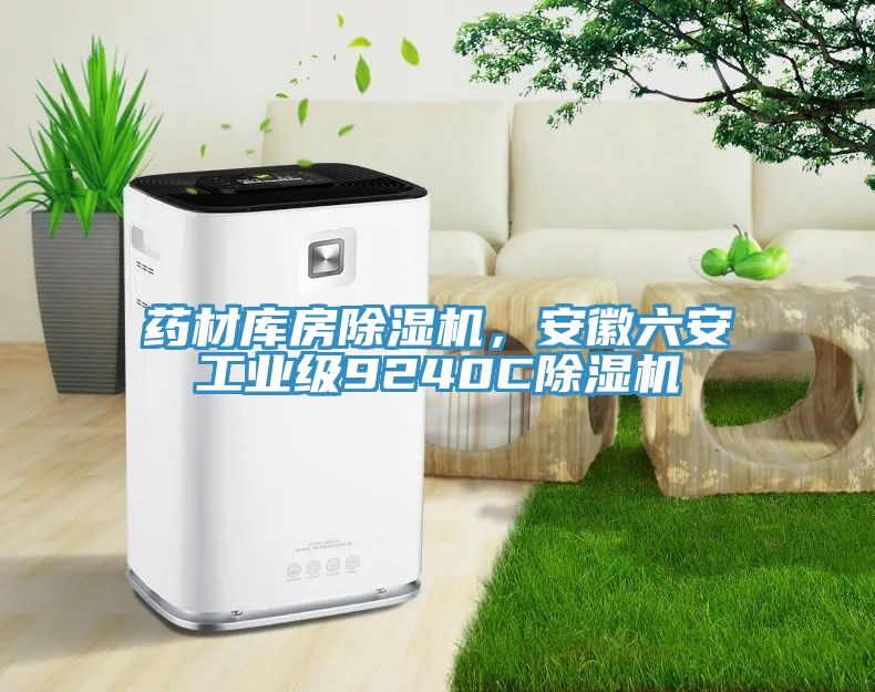 藥材庫房除濕機，安徽六安工業(yè)級9240C除濕機