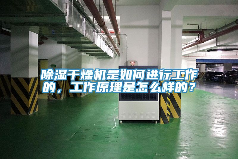除濕干燥機(jī)是如何進(jìn)行工作的，工作原理是怎么樣的？