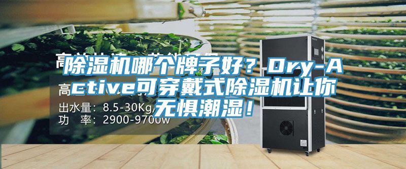 除濕機(jī)哪個(gè)牌子好？Dry-Active可穿戴式除濕機(jī)讓你無(wú)懼潮濕！