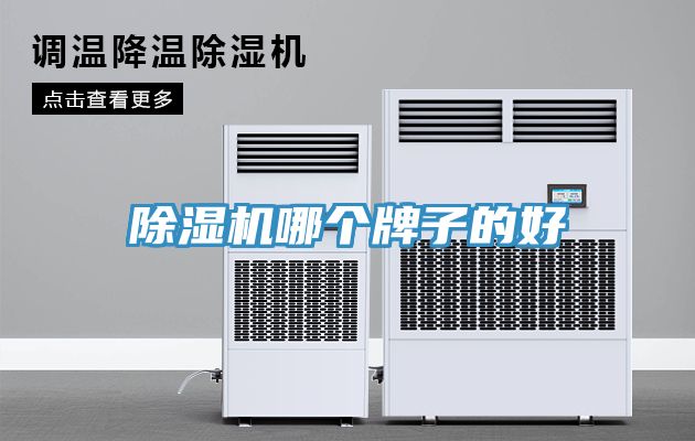 除濕機(jī)哪個牌子的好