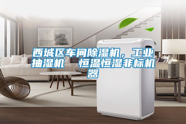西城區(qū)車(chē)間除濕機(jī)，工業(yè)抽濕機(jī)  恒溫恒濕非標(biāo)機(jī)器