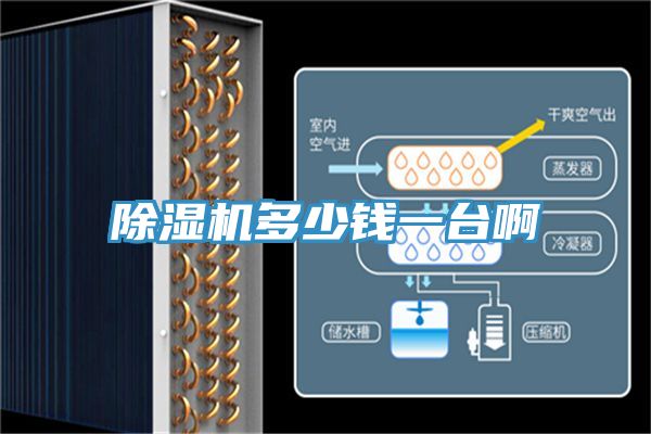 除濕機(jī)多少錢(qián)一臺(tái)啊