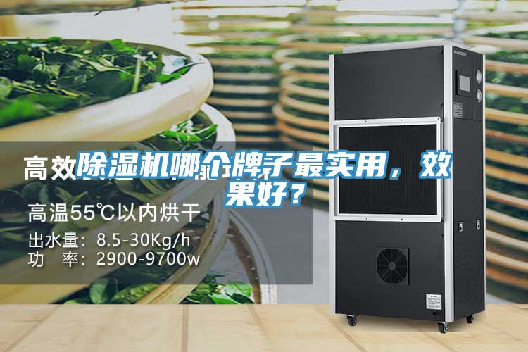 除濕機(jī)哪個牌子最實用，效果好？
