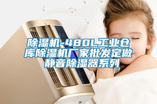 除濕機(jī)-480L工業(yè)倉庫除濕機(jī)廠家批發(fā)定做 靜音除濕器系列