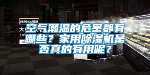 空氣潮濕的危害都有哪些？家用除濕機(jī)是否真的有用呢？