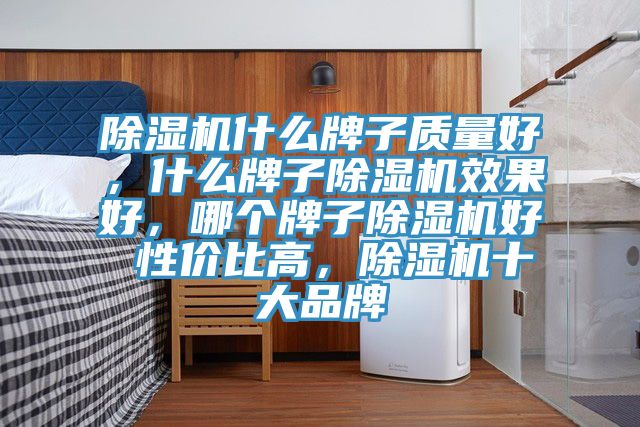 除濕機什么牌子質量好，什么牌子除濕機效果好，哪個牌子除濕機好 性價比高，除濕機十大品牌