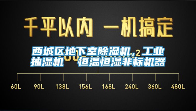西城區(qū)地下室除濕機(jī)，工業(yè)抽濕機(jī)  恒溫恒濕非標(biāo)機(jī)器