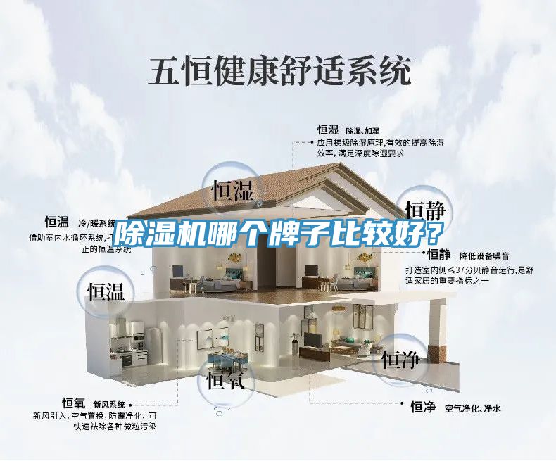 除濕機(jī)哪個牌子比較好？