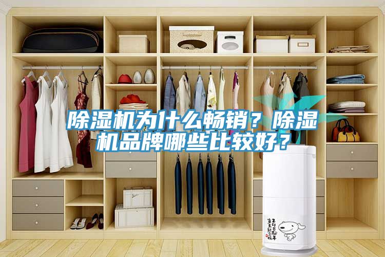 除濕機(jī)為什么暢銷？除濕機(jī)品牌哪些比較好？