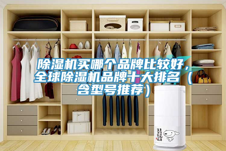 除濕機(jī)買哪個品牌比較好，全球除濕機(jī)品牌十大排名（含型號推薦）