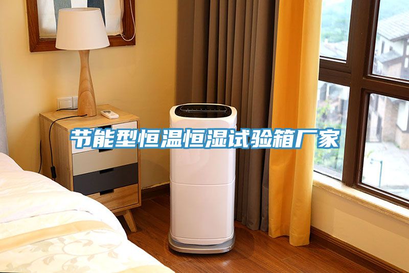 節(jié)能型恒溫恒濕試驗(yàn)箱廠家