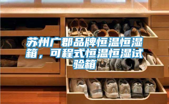 蘇州廣郡品牌恒溫恒濕箱，可程式恒溫恒濕試驗(yàn)箱