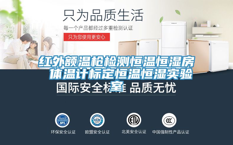 紅外額溫槍檢測恒溫恒濕房 體溫計標(biāo)定恒溫恒濕實驗室