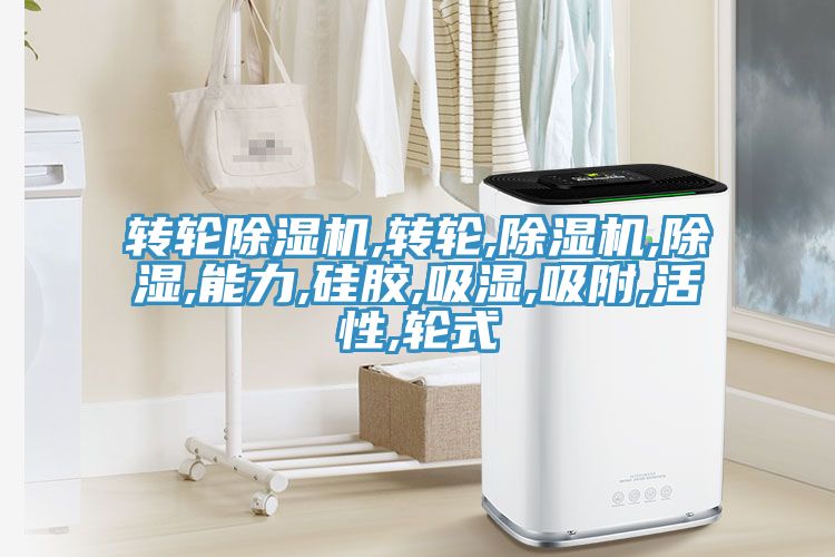 轉(zhuǎn)輪除濕機(jī),轉(zhuǎn)輪,除濕機(jī),除濕,能力,硅膠,吸濕,吸附,活性,輪式