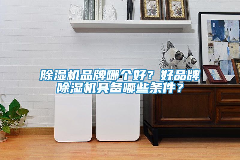 除濕機品牌哪個好？好品牌除濕機具備哪些條件？