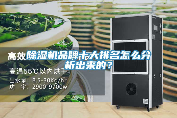 除濕機(jī)品牌十大排名怎么分析出來(lái)的？