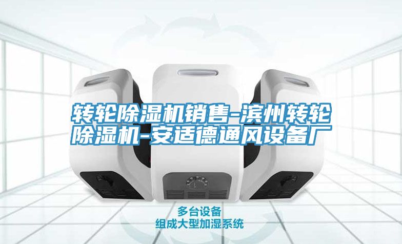 轉(zhuǎn)輪除濕機銷售-濱州轉(zhuǎn)輪除濕機-安適德通風(fēng)設(shè)備廠
