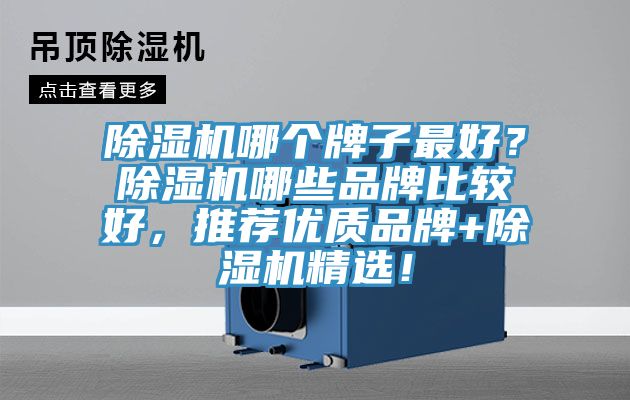 除濕機(jī)哪個(gè)牌子最好？除濕機(jī)哪些品牌比較好，推薦優(yōu)質(zhì)品牌+除濕機(jī)精選！