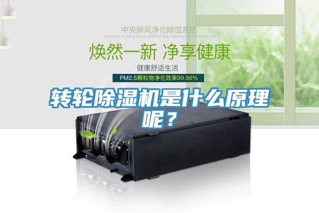 轉(zhuǎn)輪除濕機是什么原理呢？