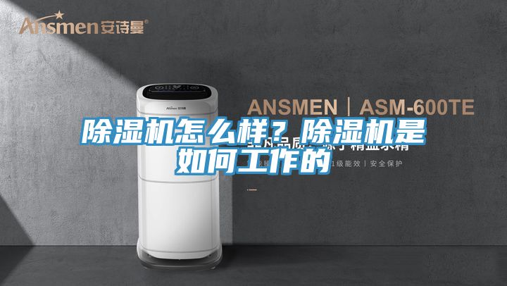 除濕機(jī)怎么樣？除濕機(jī)是如何工作的