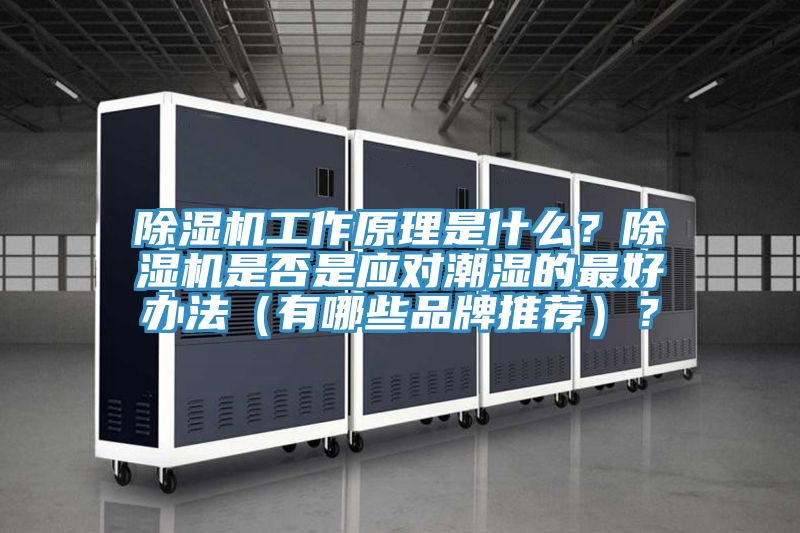 除濕機工作原理是什么？除濕機是否是應(yīng)對潮濕的最好辦法（有哪些品牌推薦）？