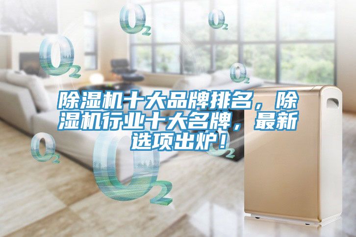 除濕機十大品牌排名，除濕機行業(yè)十大名牌，最新選項出爐！