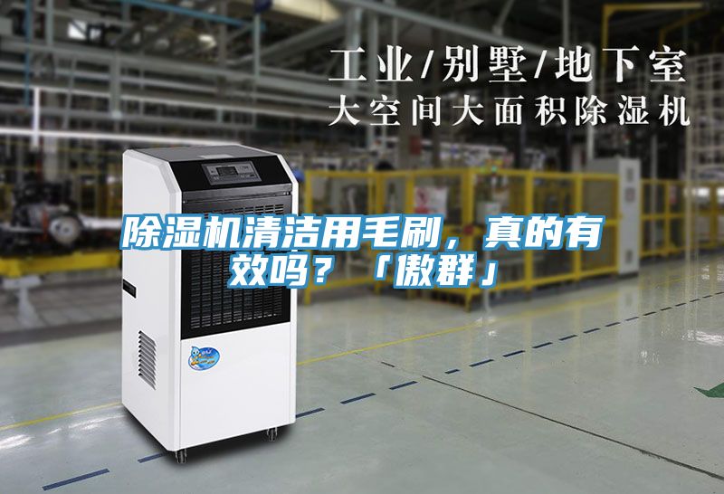 除濕機(jī)清潔用毛刷，真的有效嗎？「傲群」