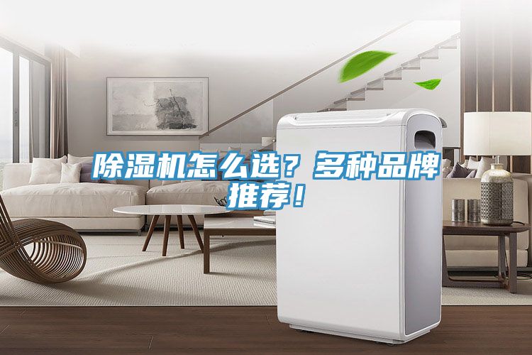 除濕機(jī)怎么選？多種品牌推薦！
