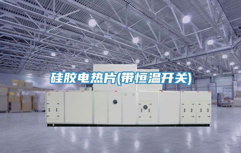 硅膠電熱片(帶恒溫開(kāi)關(guān))