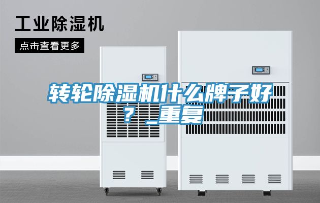 轉(zhuǎn)輪除濕機(jī)什么牌子好？_重復(fù)