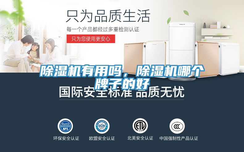 除濕機有用嗎，除濕機哪個牌子的好