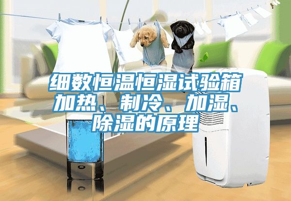 細(xì)數(shù)恒溫恒濕試驗(yàn)箱加熱、制冷、加濕、除濕的原理