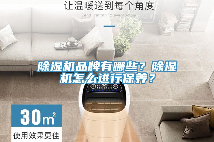 除濕機(jī)品牌有哪些？除濕機(jī)怎么進(jìn)行保養(yǎng)？