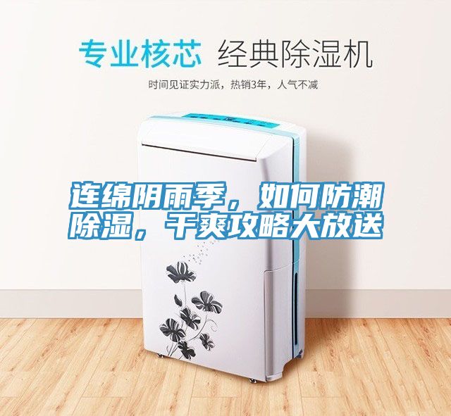 連綿陰雨季，如何防潮除濕，干爽攻略大放送